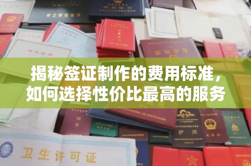 东营揭秘签证制作的费用标准，如何选择性价比最高的服务？