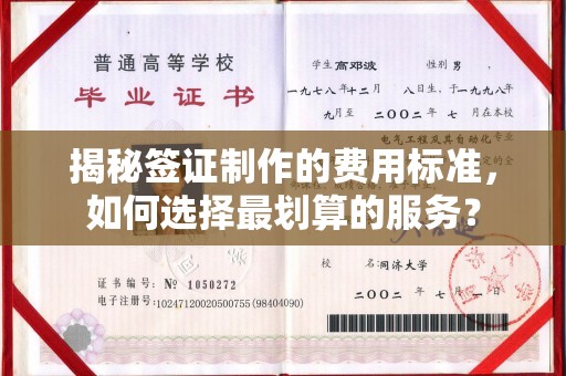 东营揭秘签证制作的费用标准，如何选择最划算的服务？
