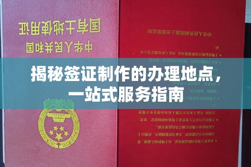 东营揭秘签证制作的办理地点，一站式服务指南