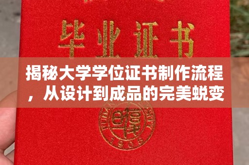 东营揭秘大学学位证书制作流程，从设计到成品的完美蜕变