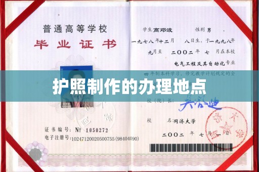东营护照制作的办理地点
