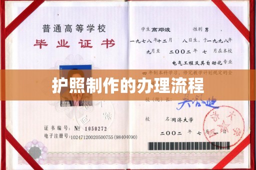 东营护照制作的办理流程